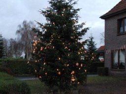 2011 Weihnachtsmarkt